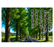 859038602