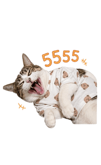 859047338