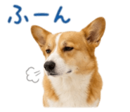 859071797