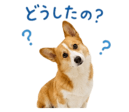 859071798
