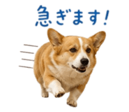 859071799