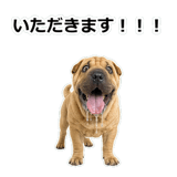 859076278