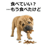 859076285