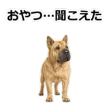 859076286