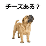 859076288