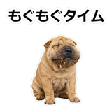 859076303