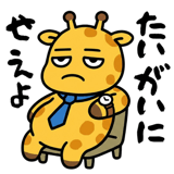859077604