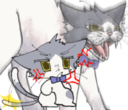 859078190