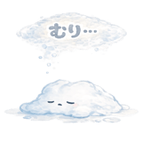 859081020