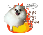 859081870