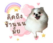 859081875