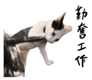 859087355