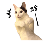 859087366