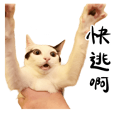 859087367