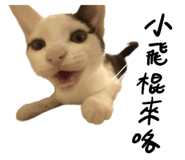 859087375