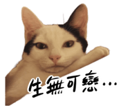 859087376