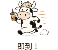 859087629
