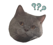 859088035