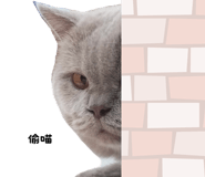859088049