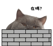 859088051