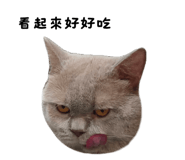 859088052
