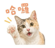 859088189