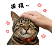 859089390