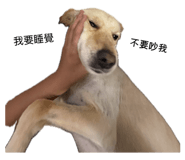 859089762