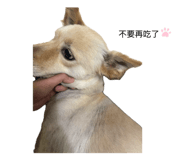 859089766