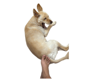 859089783