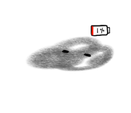 859090032