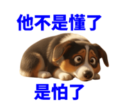 859093395