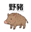 859111620