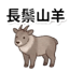 859111622