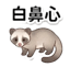 859111624