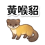 859111629