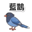 859111637