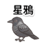 859111645
