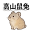 859111653