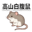 859111654