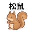 859111656