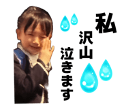 859116533