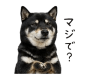 859117978