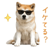 859117990