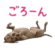 859118882