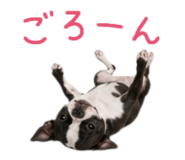 859118887