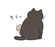 859124048