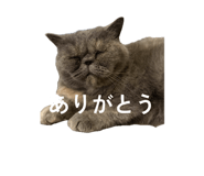 859131529