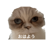859131530