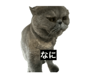 859131531